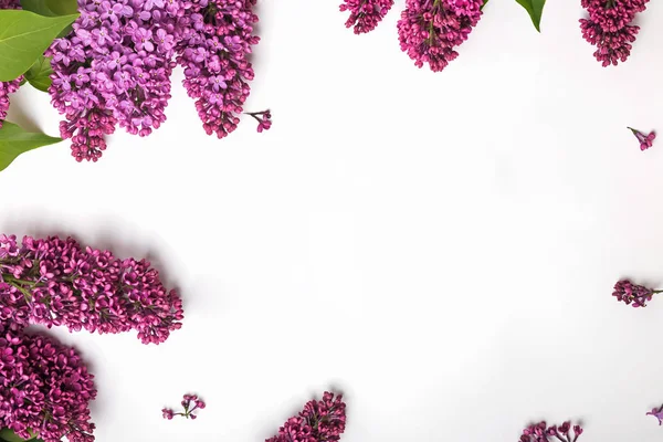 Kreativní jarní rám s čerstvými šeříkovými květy na bílém hřbetě — Stock fotografie