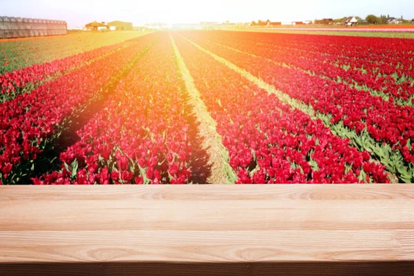 Leerer Holztisch zur Montage, Ihr Produktdisplay mit verschwommenem Feld roter Tulpen — Stockfoto