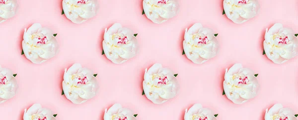 Creative geometric pattern with white peony flowers on pink background — Stock Photo, Image