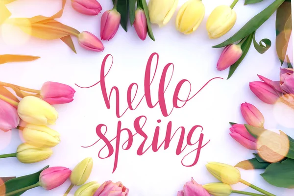 Барвисті свіжі тюльпани на білому тлі та текст привіт весна . — стокове фото