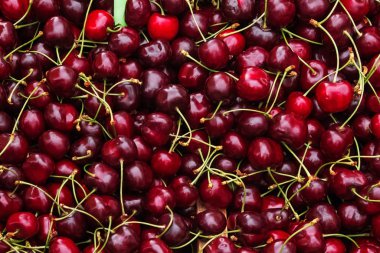 Fresh organic cherries on the farmers market.
