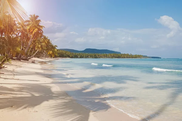 Piękna idylliczna plaża z palmami kokosowymi w pobliżu turkusowego oceanu. — Zdjęcie stockowe