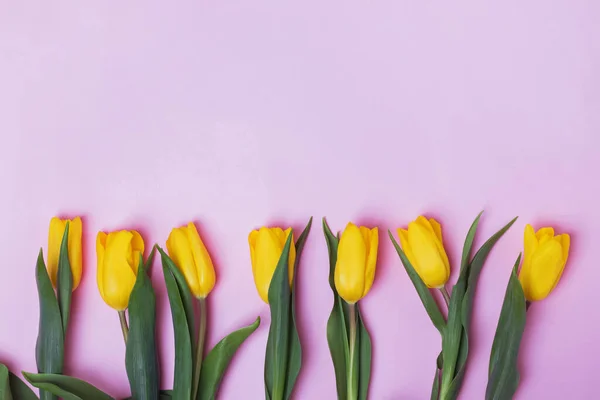 Žluté tulipány květiny na růžovém pozadí. — Stock fotografie