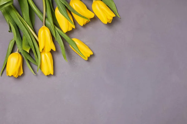 Žluté tulipány na šedém betonovém pozadí. Den matek, jaro. — Stock fotografie
