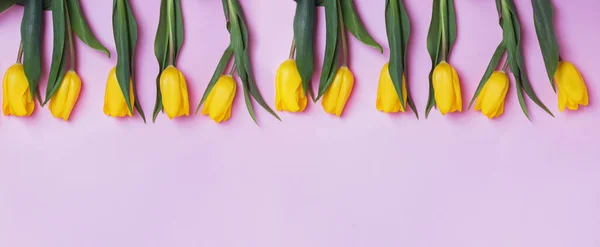 Žluté tulipány květiny na růžovém pozadí — Stock fotografie