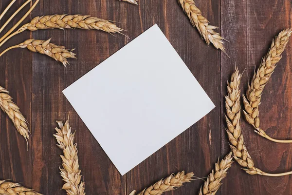 Weizenähren mit Körnern und leerem Papier auf Holztischplatte — Stockfoto