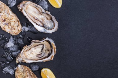 Taze çiğ, buzlu ve limon dilimli istiridye.