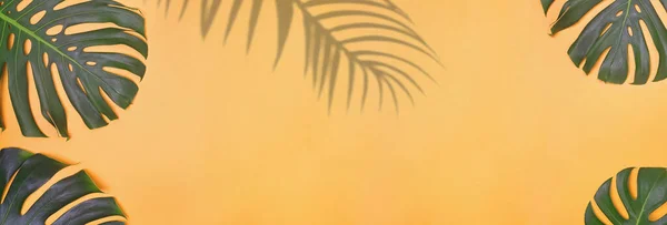 Тропический летний фон моды с пространством для текста . — стоковое фото