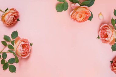 Taze portakal rengi çay gülleri ve metin için yer içeren yaratıcı kompozisyon