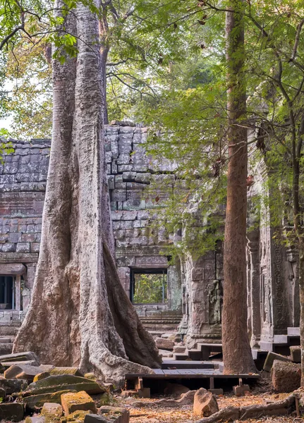 Angkor Wat, complejo de templos Khmer, Asia. Siem Reap, Camboya . — Foto de Stock