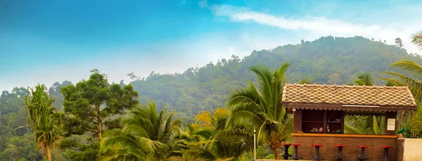 Ferienhäuser aus Holz im Dschungel — Stockfoto