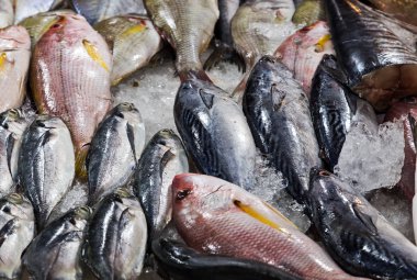 Sokak pazarında buzda taze balık