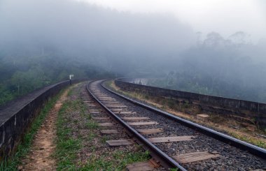 Tren ormanda sis, Ella, Sri Lanka