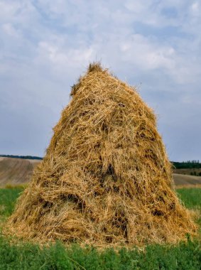 Samanlık saman saman haystack çayır üzerinde