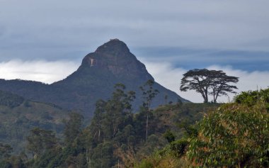 Adams tepe kutsal dağ