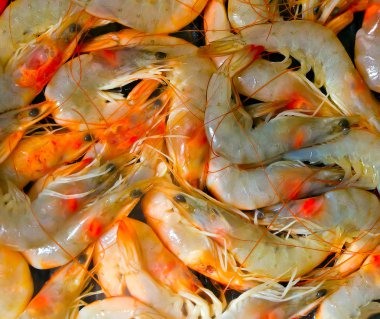 karides arka plan deniz ürünleri