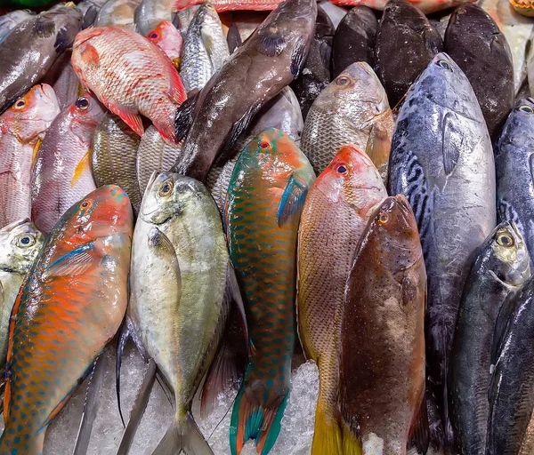Pescados y mariscos expuestos en un mercado de pescado — Foto de Stock