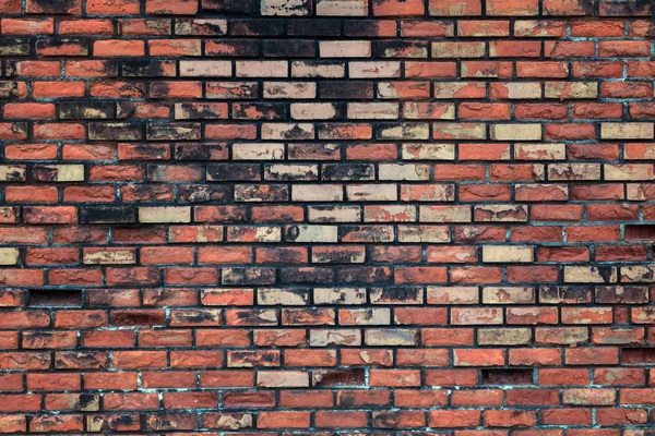 Design moderní brickwall — Stock fotografie