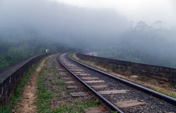 Eisenbahnwald im Nebel, ella, sri lanka — Stockfoto