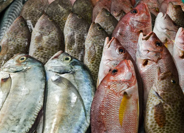 Pescado crudo sobre hielo en el mercado callejero —  Fotos de Stock