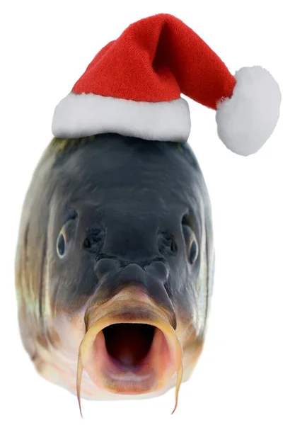 Jul fisk i Santa Röd hatt — Stockfoto