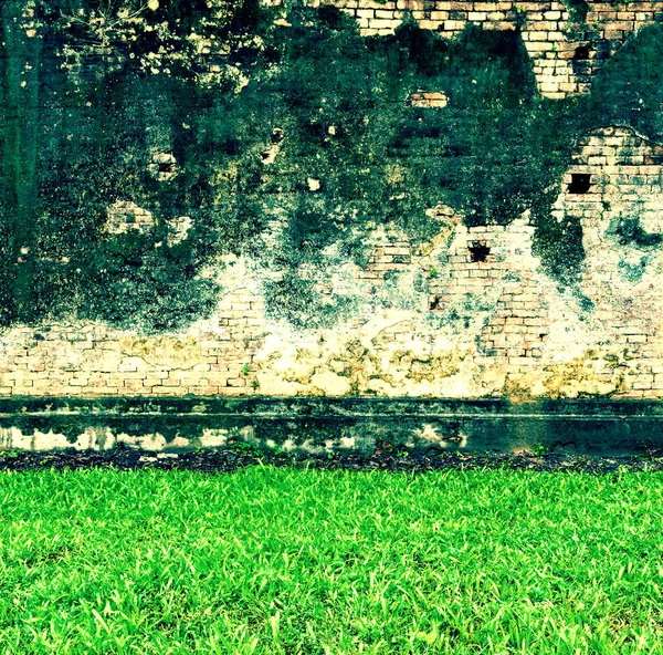 푸른 잔디와 오래 된 벽돌 벽 — 스톡 사진