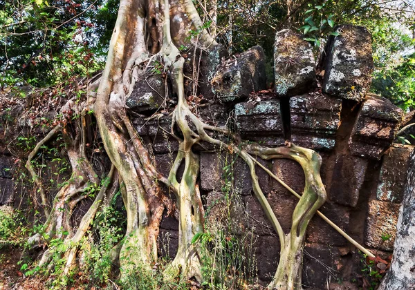 Templo antigo de Bang Melea, Camboja — Fotografia de Stock
