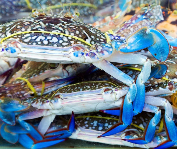 Mercado de cangrejo de garra azul — Foto de Stock