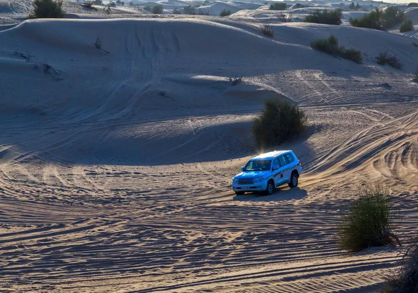 狩猎丰田拉力赛越野汽车4x4 冒险驾驶 — 图库照片