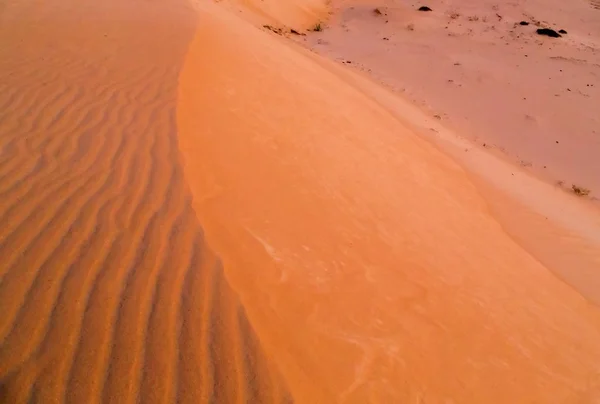 Orangefarbene Sanddünen in namib bei sossusvlei, namib-naukluft nationa — Stockfoto