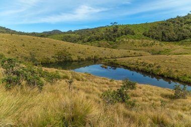 küçük nehir, Horton Plains Milli Parkı yaylalarında gölden 