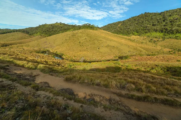 Horton Plains nationalpark högländerna i Sri Lanka och är covere — Stockfoto