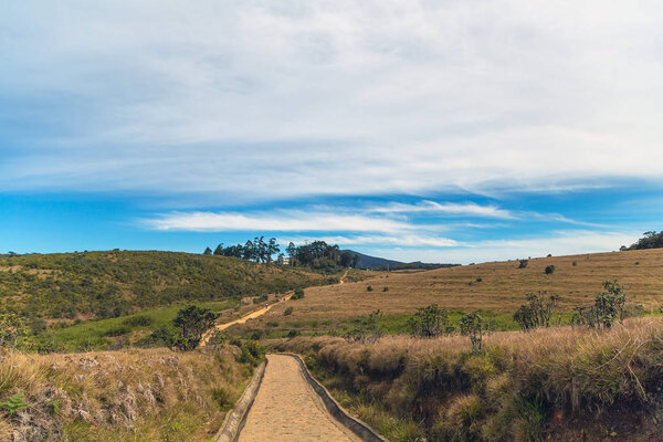 Stone Pathway in a Horton Plains National Park highlands of Sri 