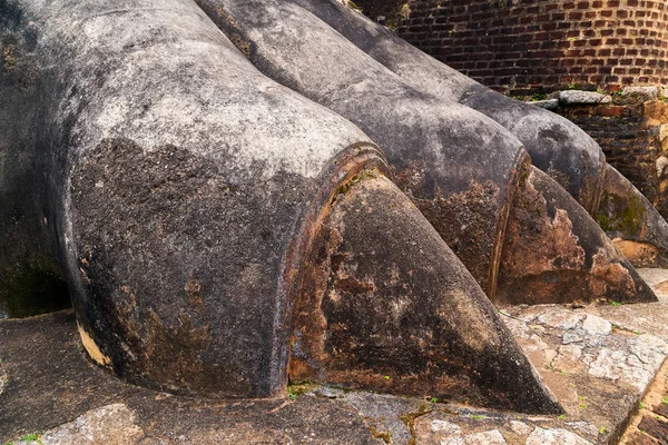 Lew kamień łapy urządzić bramę do fortecy Sigiriya, znajduje się — Zdjęcie stockowe