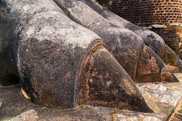 Pattes de lion en pierre décorer la porte de la forteresse Sigiriya, situé — Photo