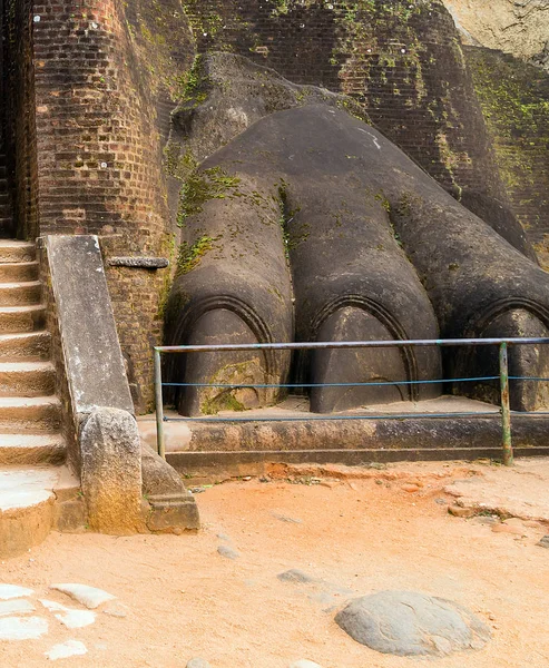 Lew kamień łapy urządzić bramę do fortecy Sigiriya, znajduje się — Zdjęcie stockowe