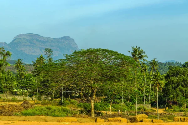 Sigirya ya da Sinhagiri, Sri Lanka 'da eski bir kaya kalesidir. — Stok fotoğraf