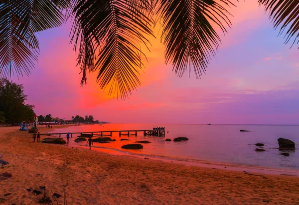 Палм-Бич, Мальдивские острова силуэты пальм на солнце — стоковое фото
