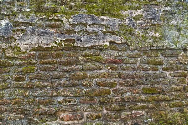 Muur achtergrond textuur steen — Stockfoto