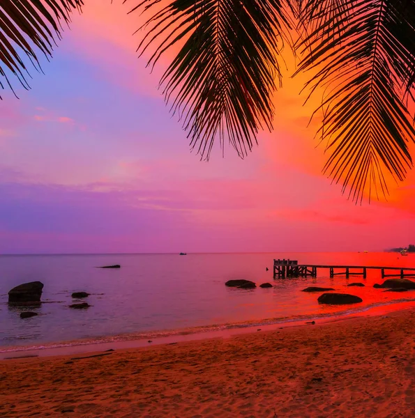 Palmenstrand, Malediven Inseln Silhouetten von Bäumen bei Sonnenuntergang — Stockfoto