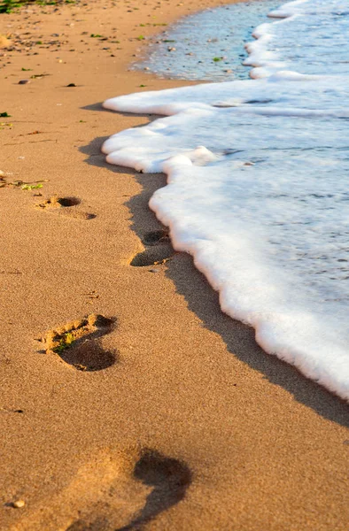 Plage de sable laissant des empreintes avec de la mousse au coucher du soleil — Photo