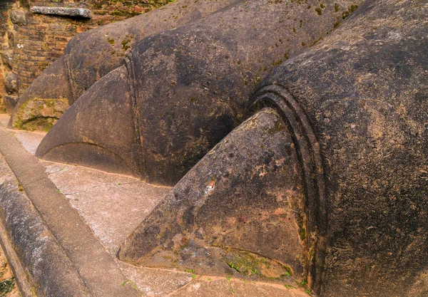 As patas de pedra de leão decoram o portão para a fortaleza de Sigiriya, localizada — Fotografia de Stock