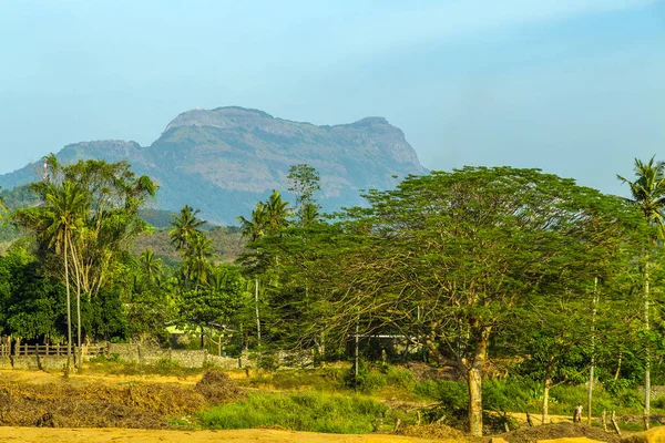 Sigiriya рок або Sinhagiri панорамний пташиного польоту, що є домінуючими — стокове фото