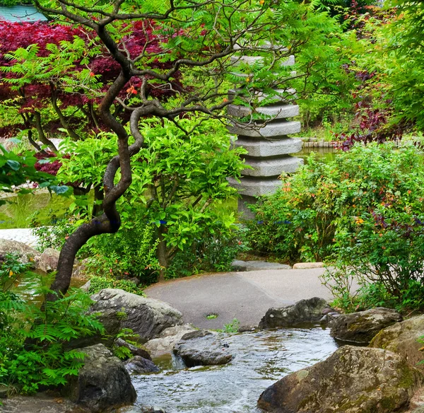 Cascade pierre jardin japonais close-up fond — Photo