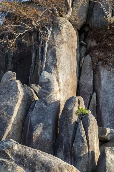 Grandmother and Grandfather Rocks - Samui in Lamai Beach Thailan — Stock Photo, Image