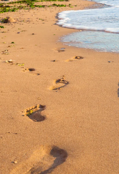 Сліди на піщаному пляжі, хвиля і кроки під час заходу сонця — стокове фото