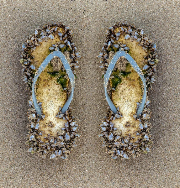 Tiempo de diversión de verano, conchas en chanclas en la playa de arena — Foto de Stock