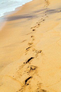 Dune kum plaj yolda ayak izleri