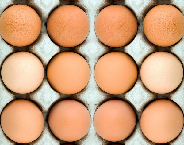Tavuk yumurta Paskalya arka plan — Stok fotoğraf