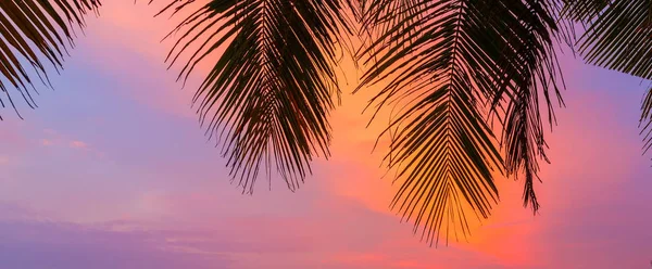 Мальдіви острови силуети пальмами на заході сонця — стокове фото